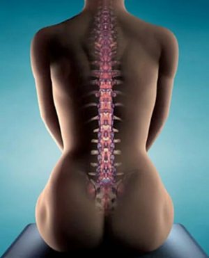 Какую зарядку делать утром если болит спина