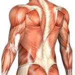 Миозит (мышечное воспаление)