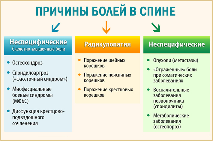 Причины болей в спине Почему болит спина: основные причины боли в спине