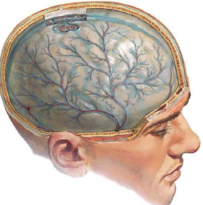 Температура болит спина ноги