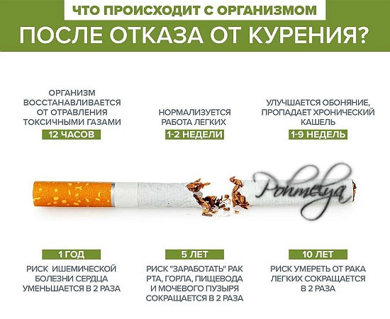 Болит голова после выкуренной сигареты