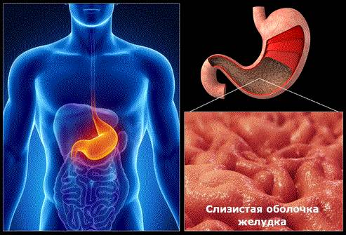 От еды болит спина