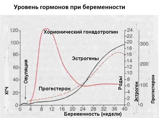 гормоны во время беременности