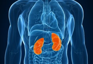 Каждый день утром болит спина