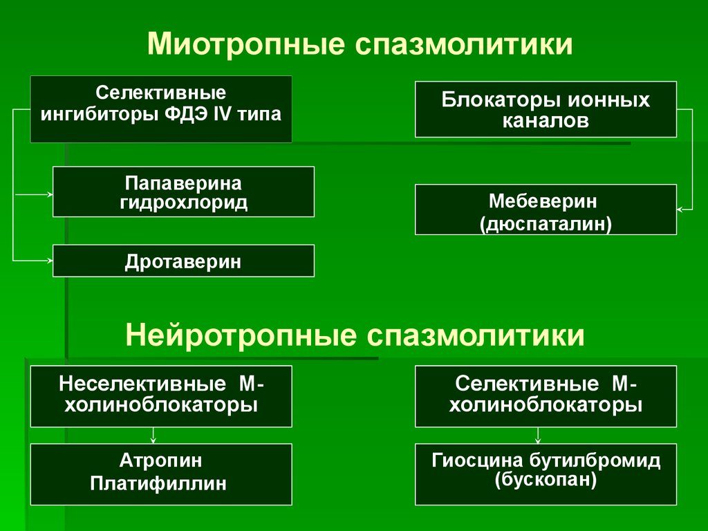 Спазмолитики
